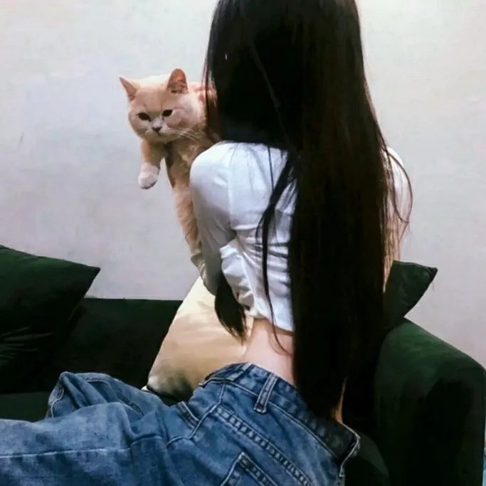 暴走恐怖故事第六季